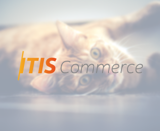 ITIS Commerce